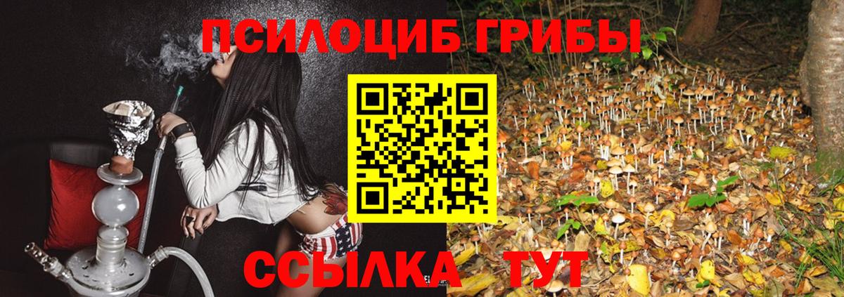 Галлюциногенные грибы мухоморы Жуковский